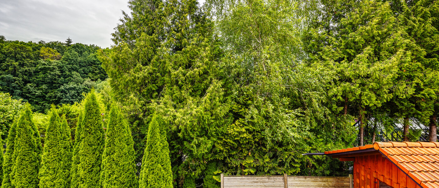 apartamento Kottgeisering 04 vista 13040