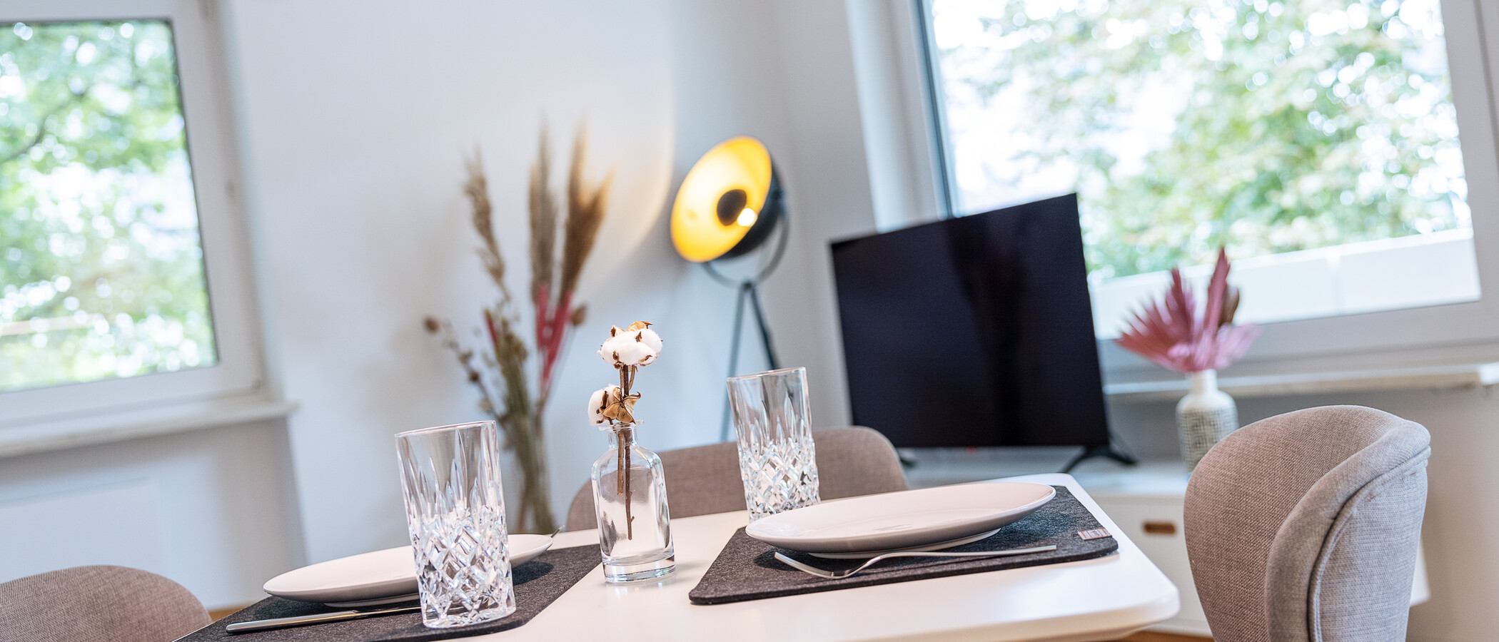apartamento München Nymphenburg 04 zona de día  13051
