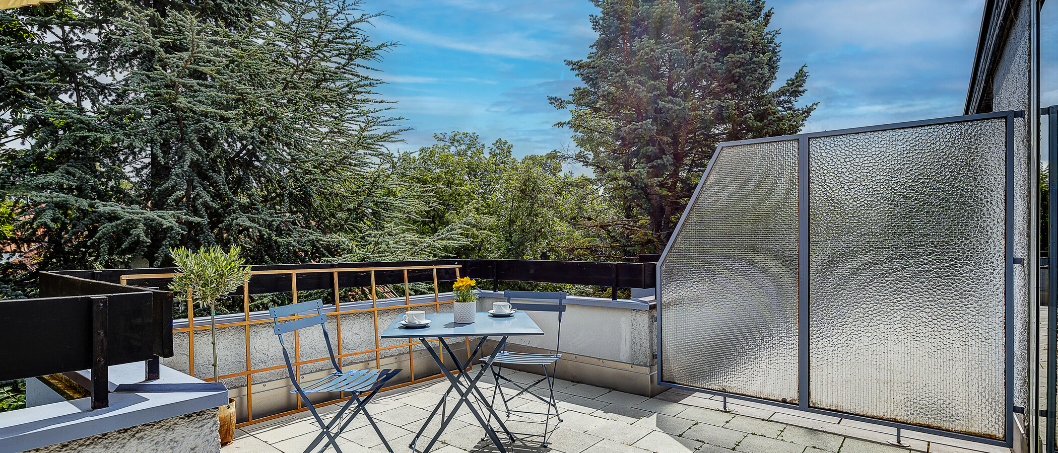 dúplex München Pasing 02 azotea 13062