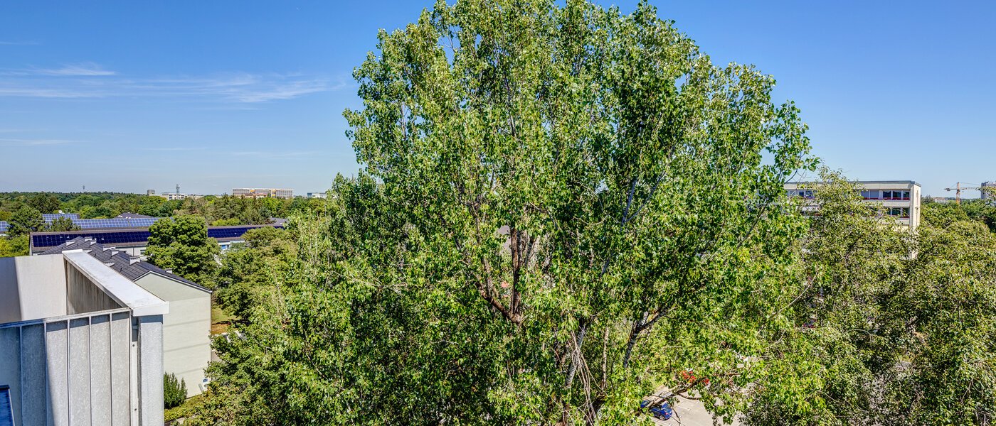 apartamento München Fürstenried 02 vista 13096