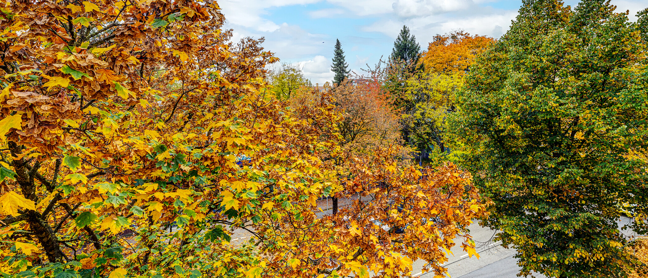 apartamento München Thalkirchen 04 vista 13192