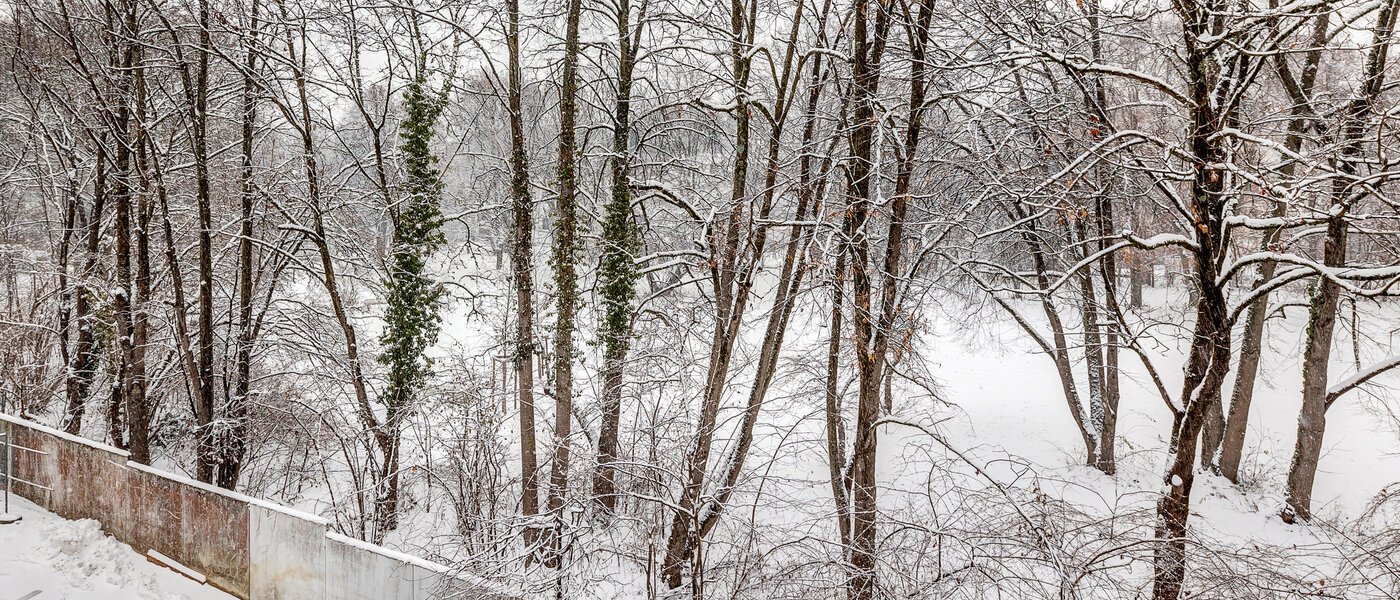 ático München Giesing 01 vista 13269