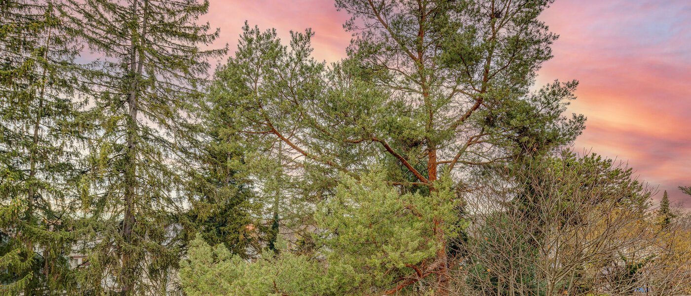 ático con terraza München Moosach 03 vista 13292