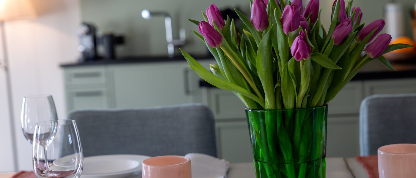 apartamento Waakirchen 07 zona de día  13308