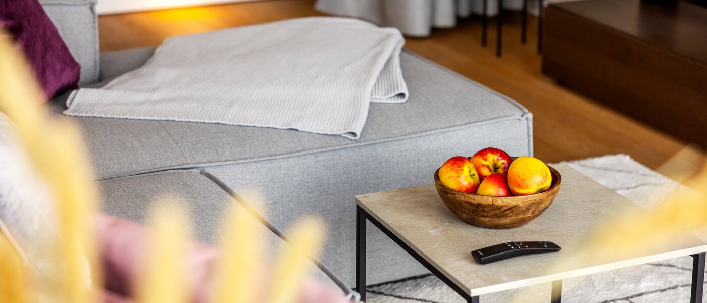 apartamento München Nymphenburg 05 zona de día  13432