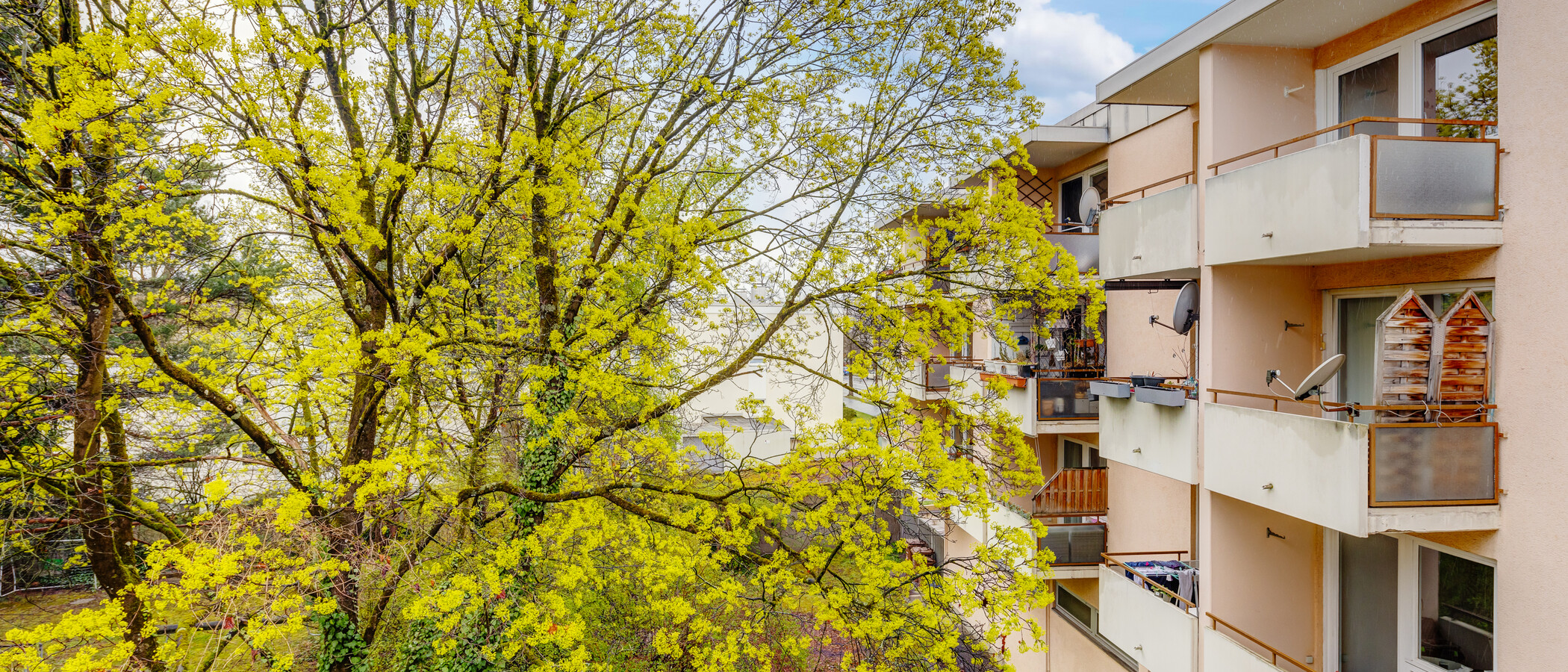 apartamento München Nymphenburg 02 vista 13438