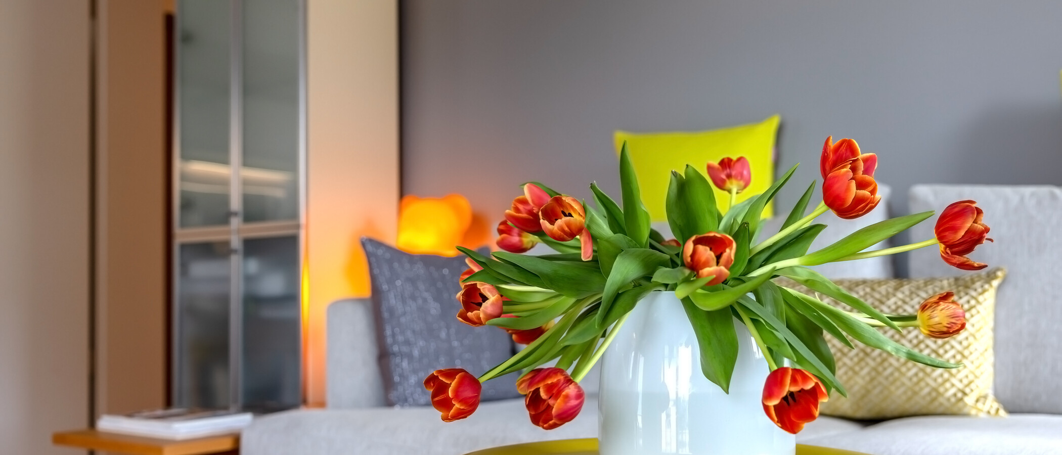 apartamento München Nymphenburg 03 zona de día  13454