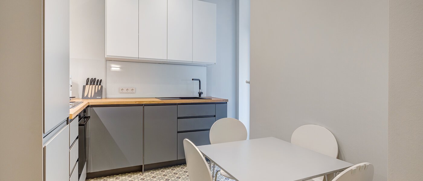 apartamento München Isarvorstadt 01 cocina 13525