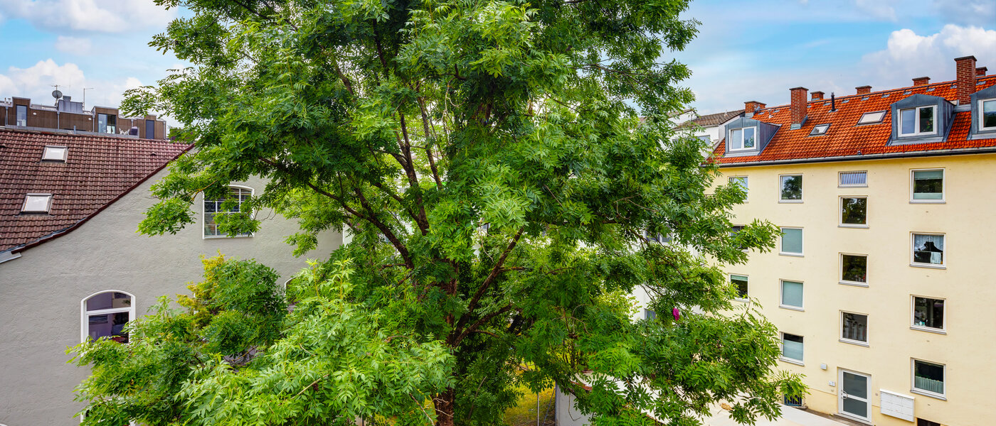 apartamento München Milbertshofen 01 vista 13553