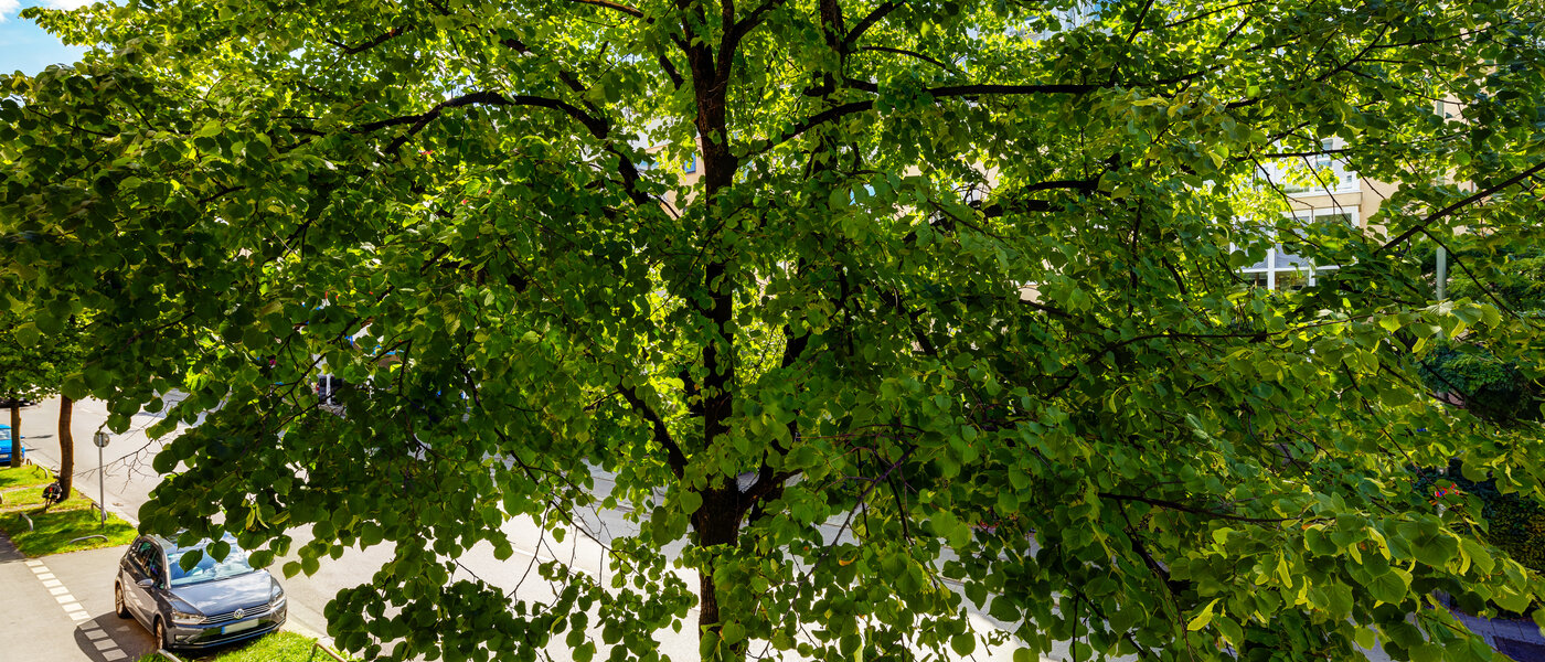 apartamento München Milbertshofen 02 vista 13602