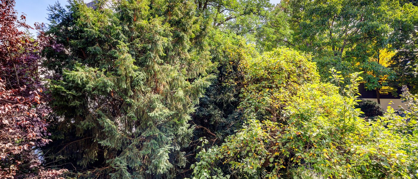 apartamento München Altbogenhausen 04 vista 13633