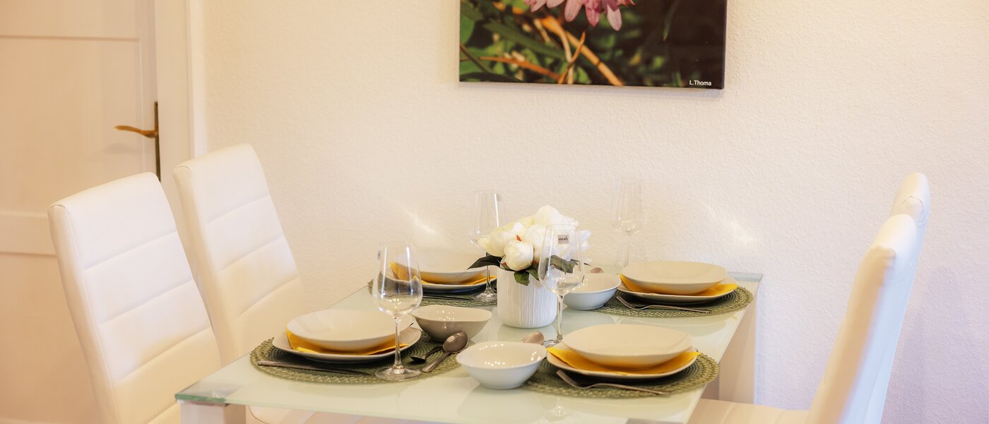 ático München Nymphenburg 04 pasillo 13654