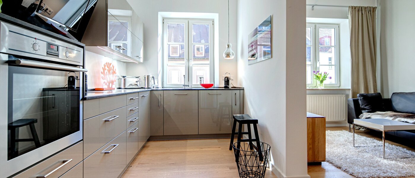 apartamento München Maxvorstadt - Universitätsviertel 01 cocina 1368