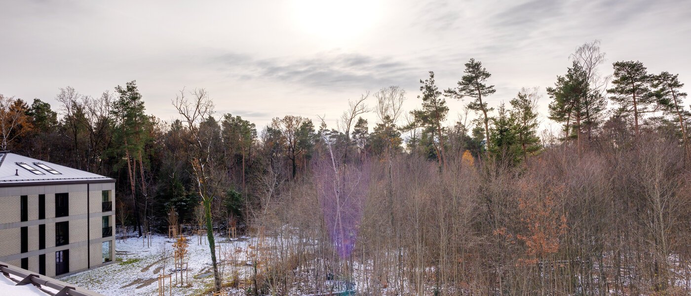 ático Haar 01 vista 13695