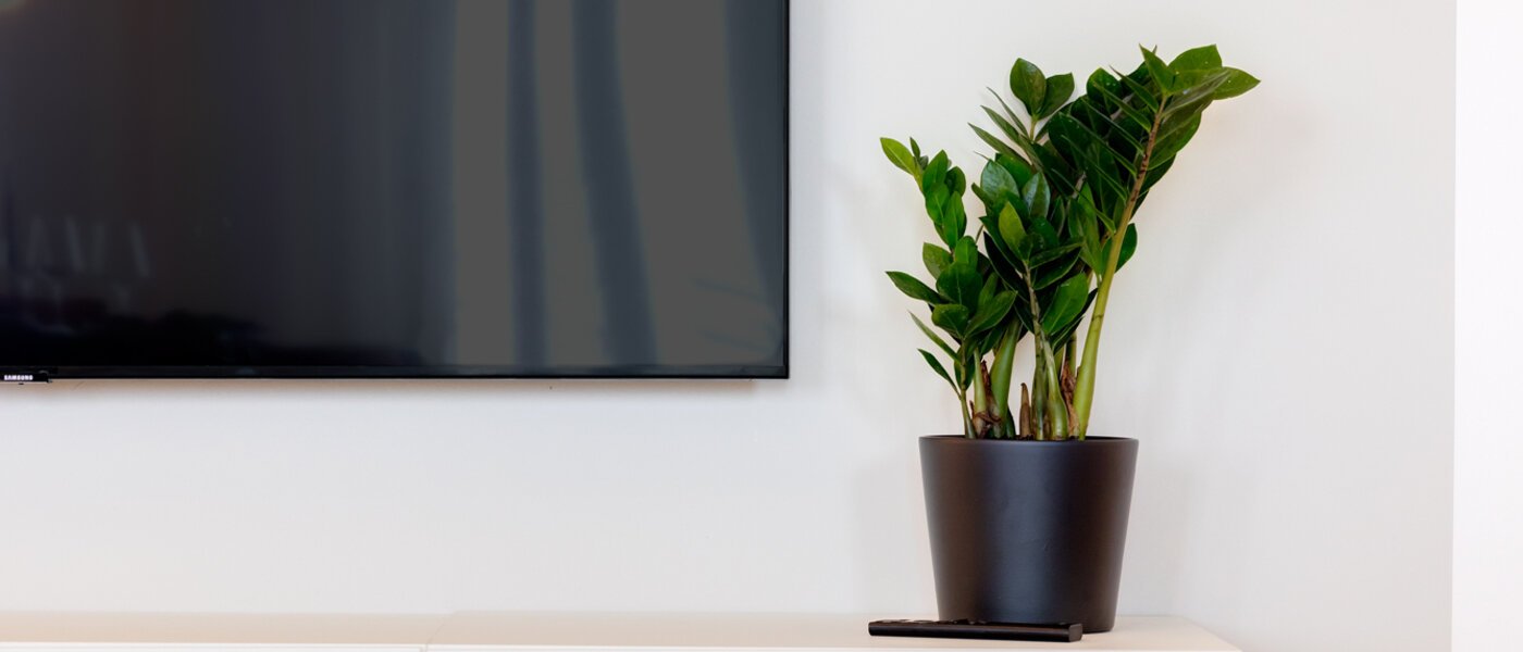 apartamento München Haidhausen 04 zona de día  13881