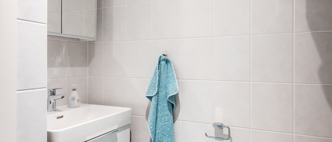 apartamento Gmund am Tegernsee 03 baño 13882