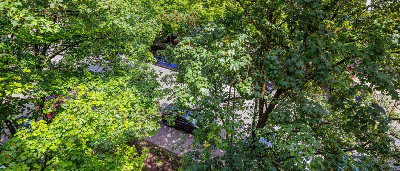 apartamento München Lehel 02 vista 13986