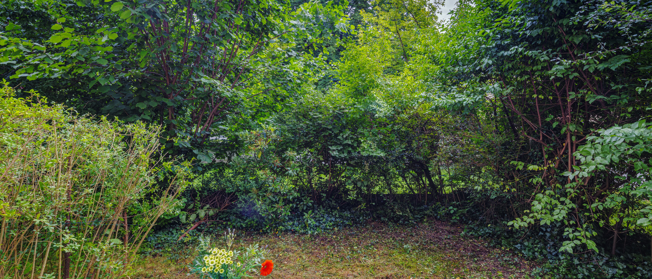 apartamento München Schwabing 03 jardín 14061