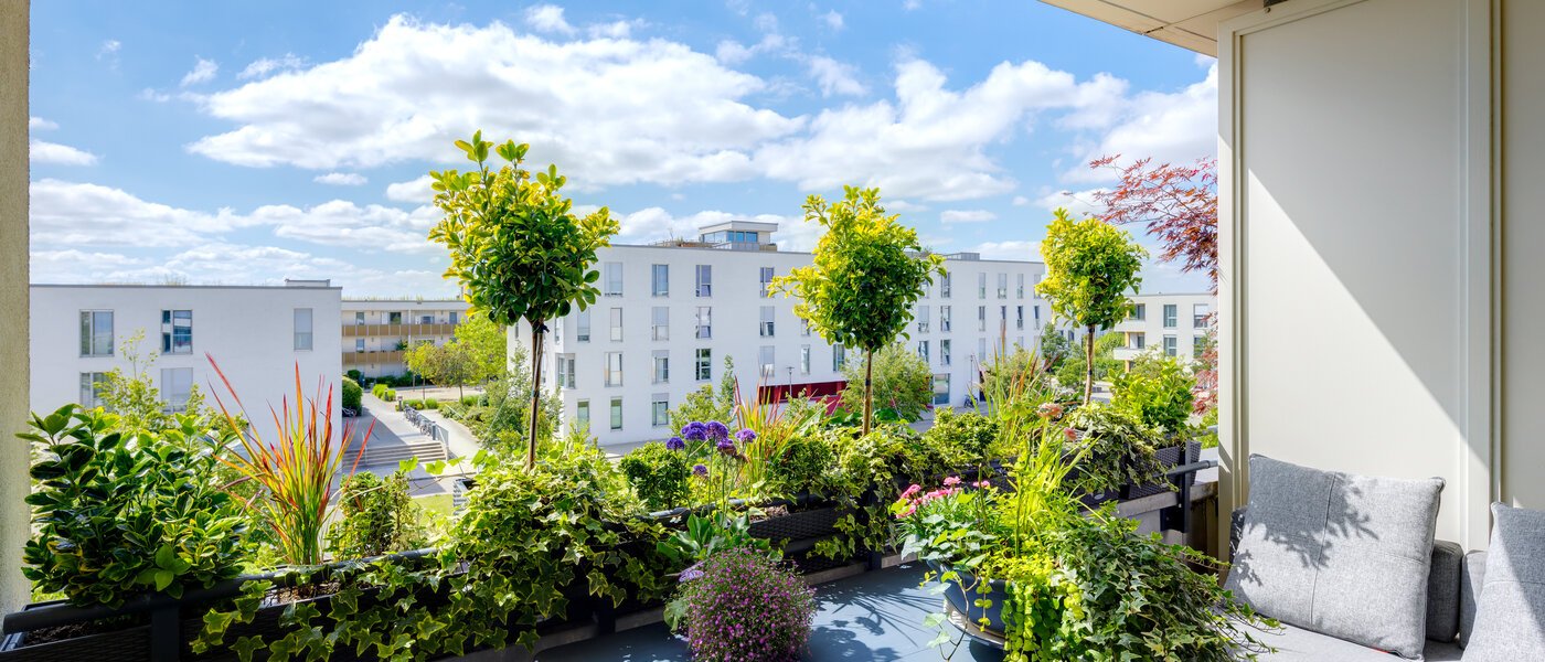 por el momento no esta disponible