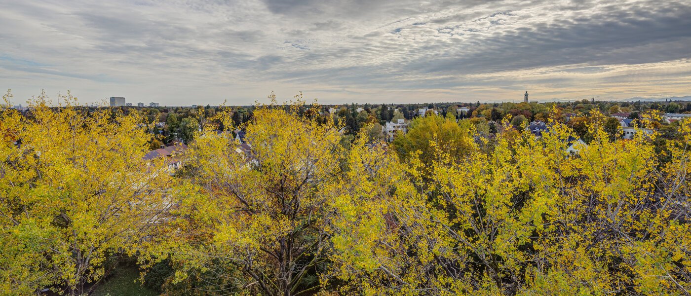 apartamento München Parkstadt Solln 02 vista 14205