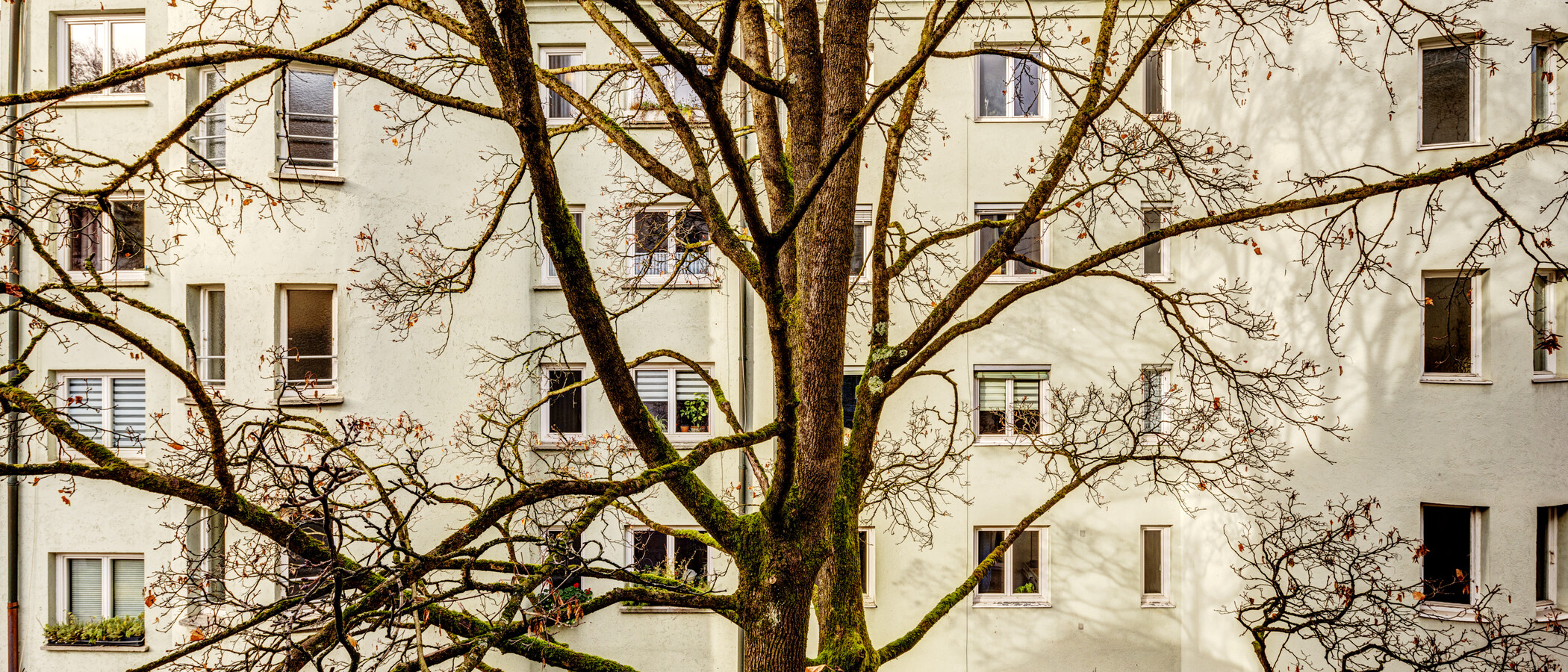 apartamento München Lehel 04 vista 14254