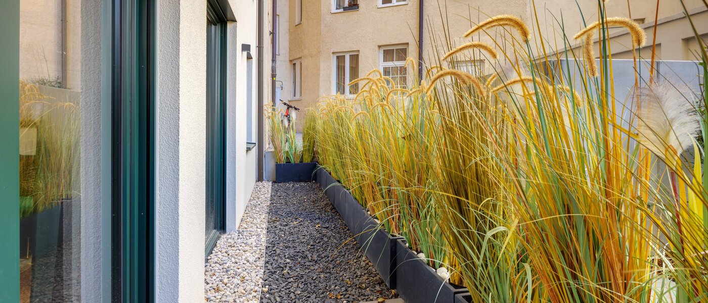 apartamento München Dreimühlenviertel 02 terraza 14265