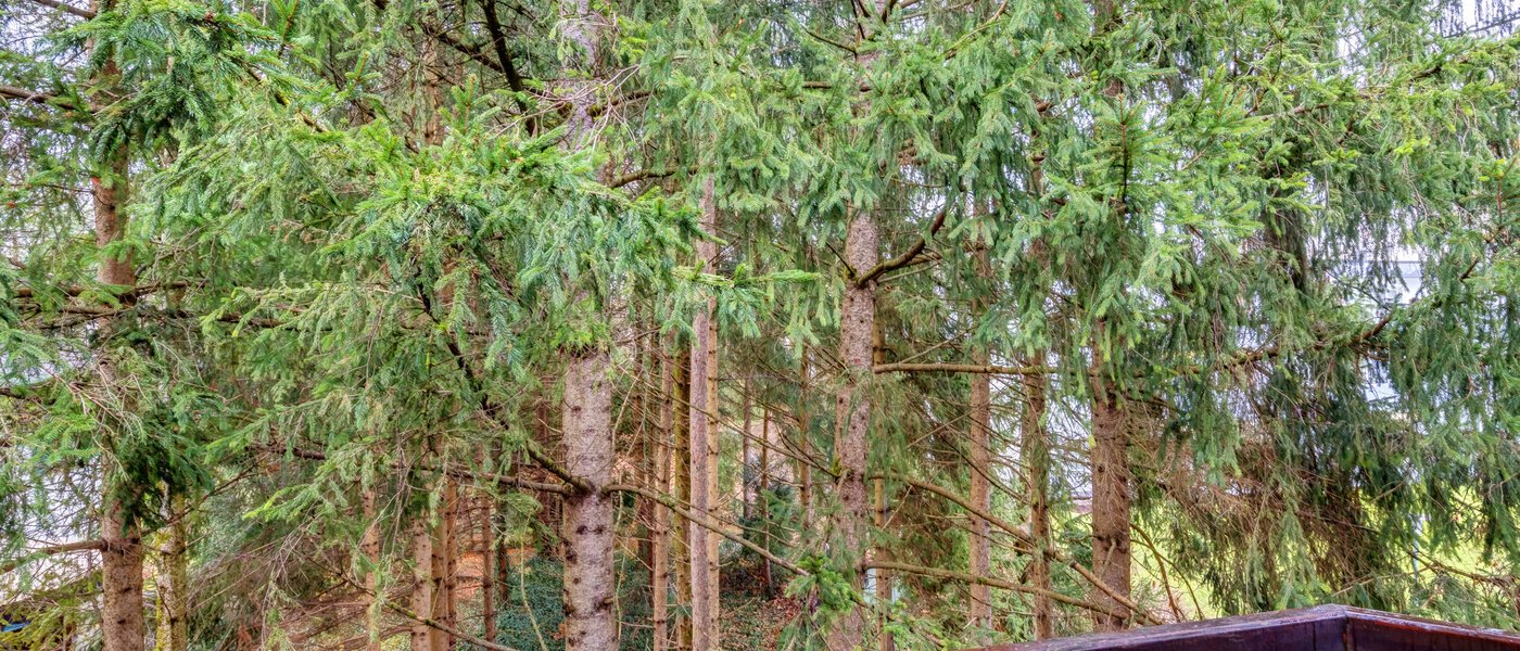 apartamento Ottobrunn 01 vista 14267