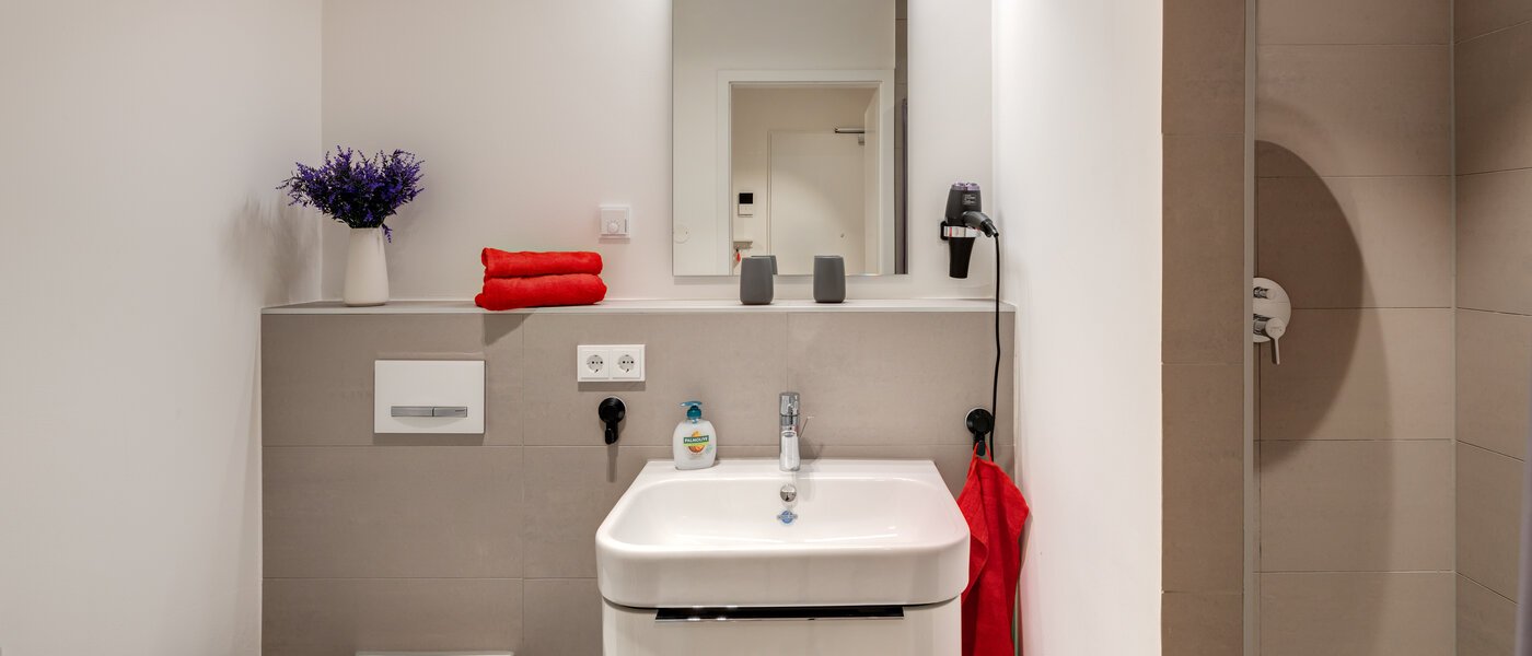 apartamento München Harlaching 01 baño 14313