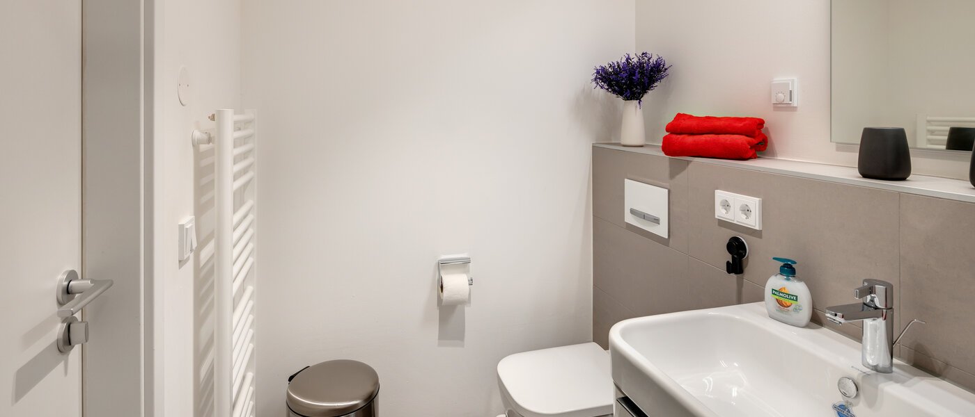 apartamento München Harlaching 04 baño 14313