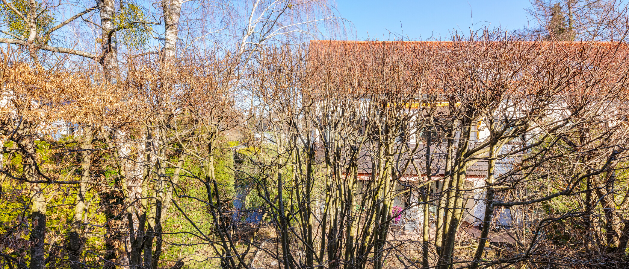 casa pareada Pullach im Isartal 05 vista 14381