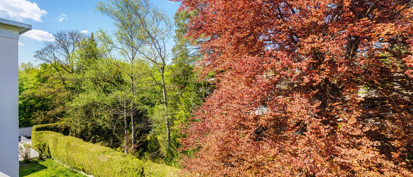 ático con terraza München Solln 03 vista 14396