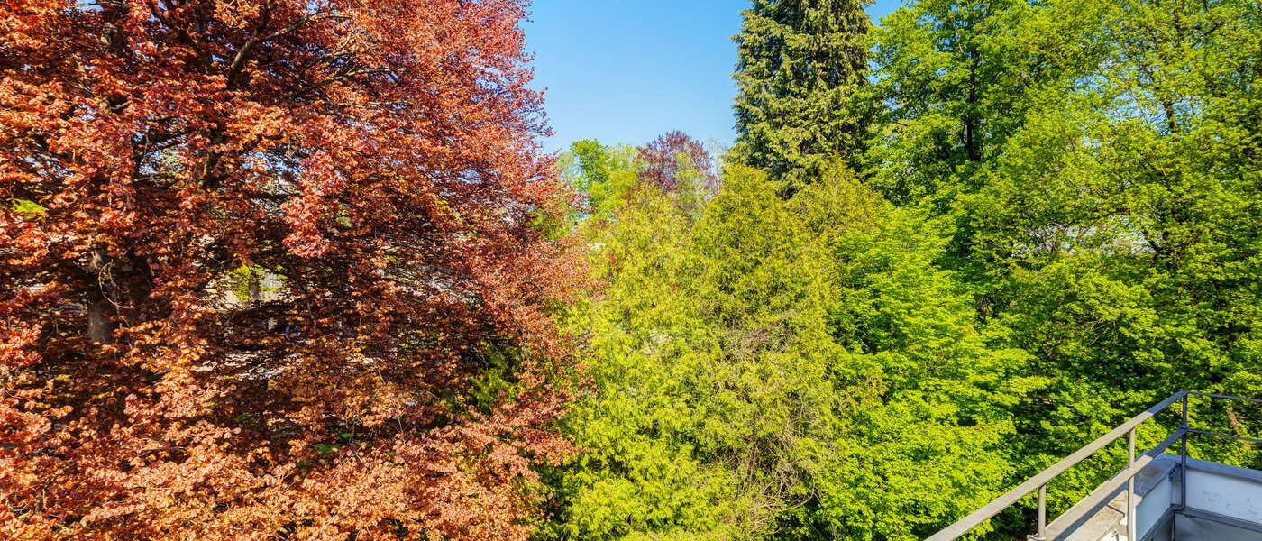 ático con terraza München Solln 04 vista 14396