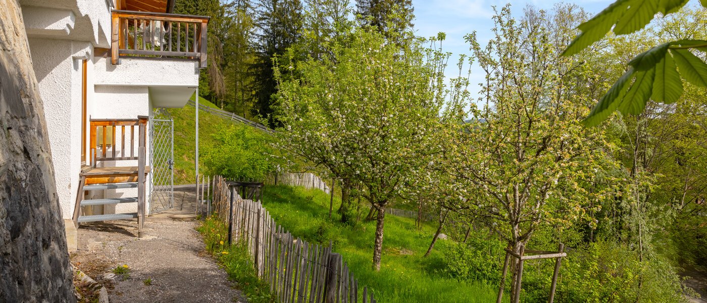 villa Bad Wiessee 04 jardín 14436