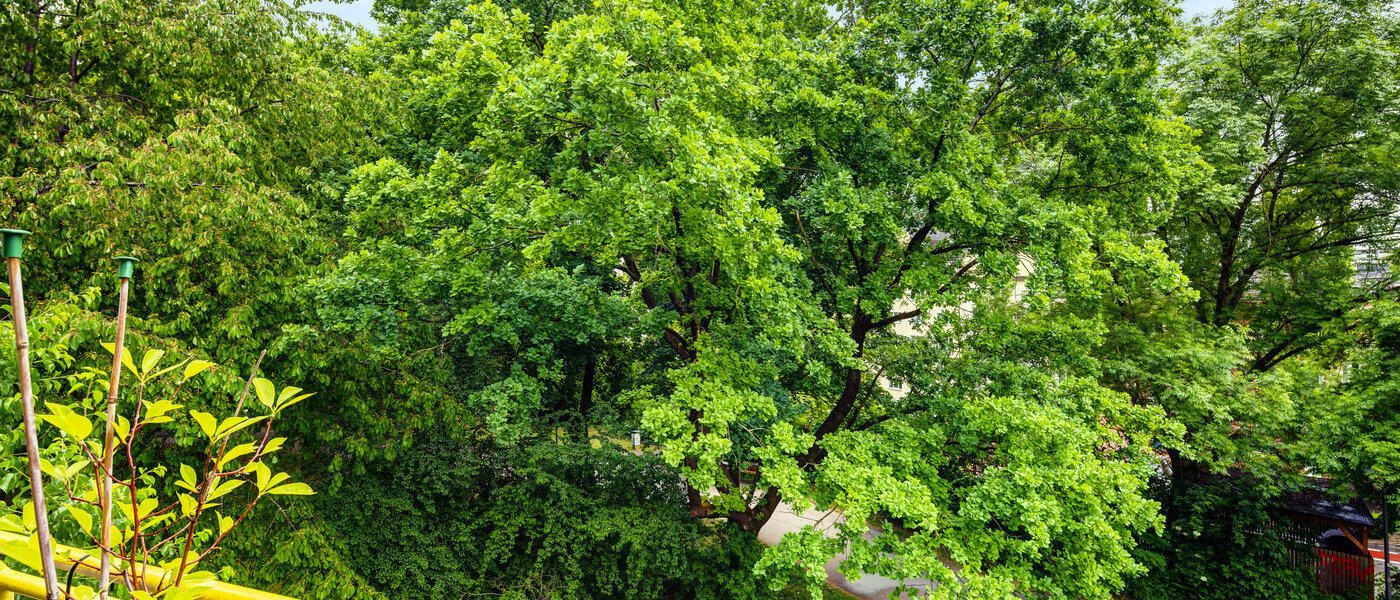 apartamento München Sendling 01 vista 14453