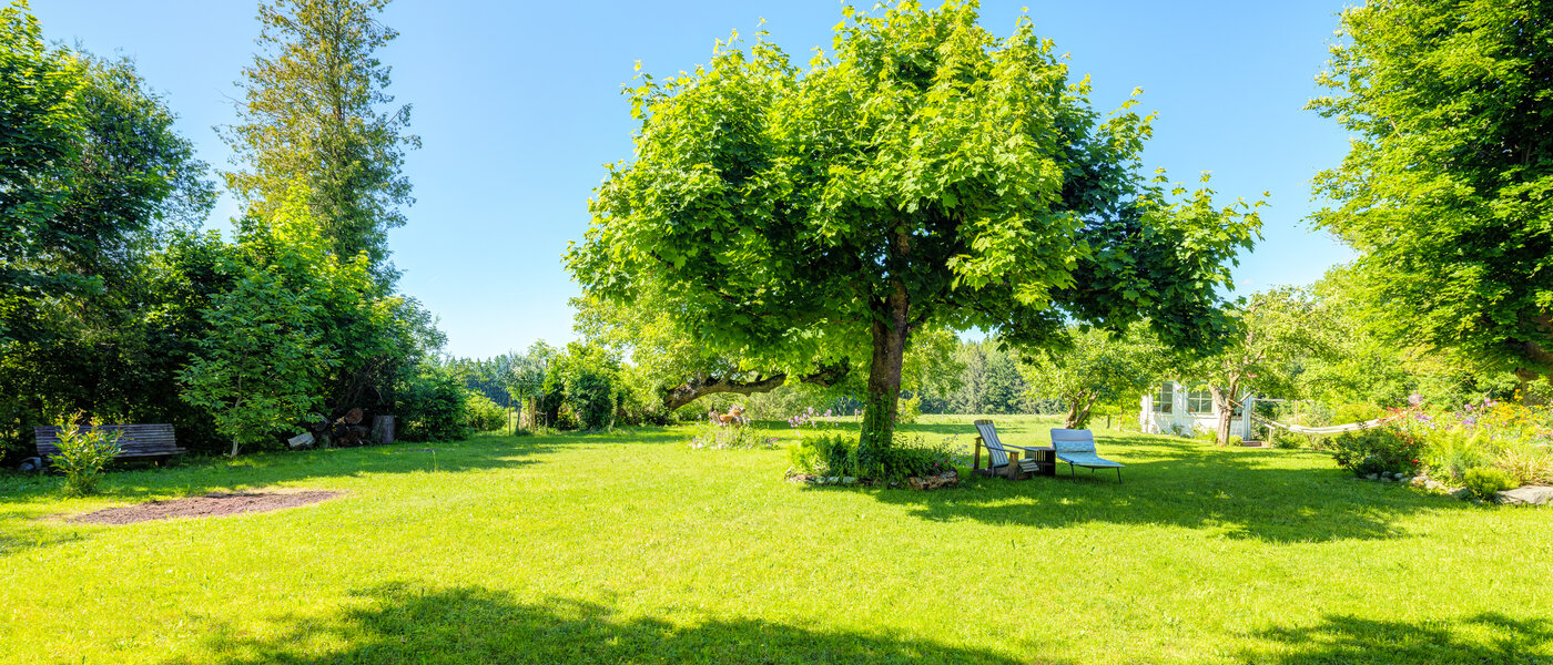 casa pareada Icking 02 jardín 14465