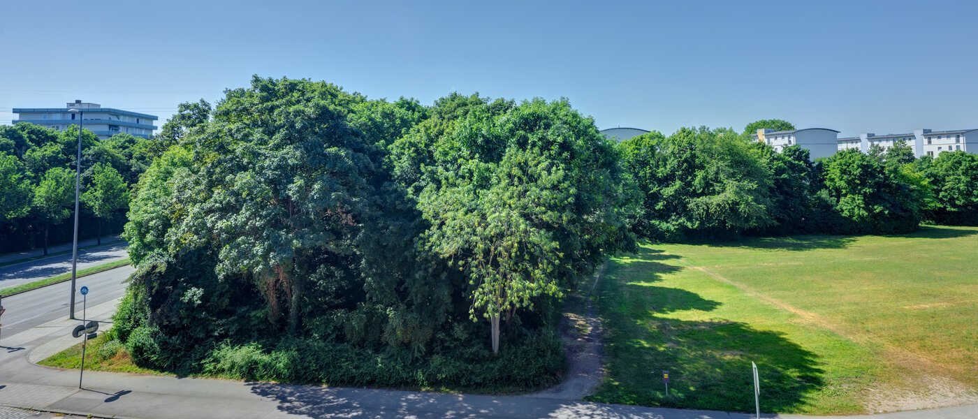 apartamento München Am Hart 01 vista 14506