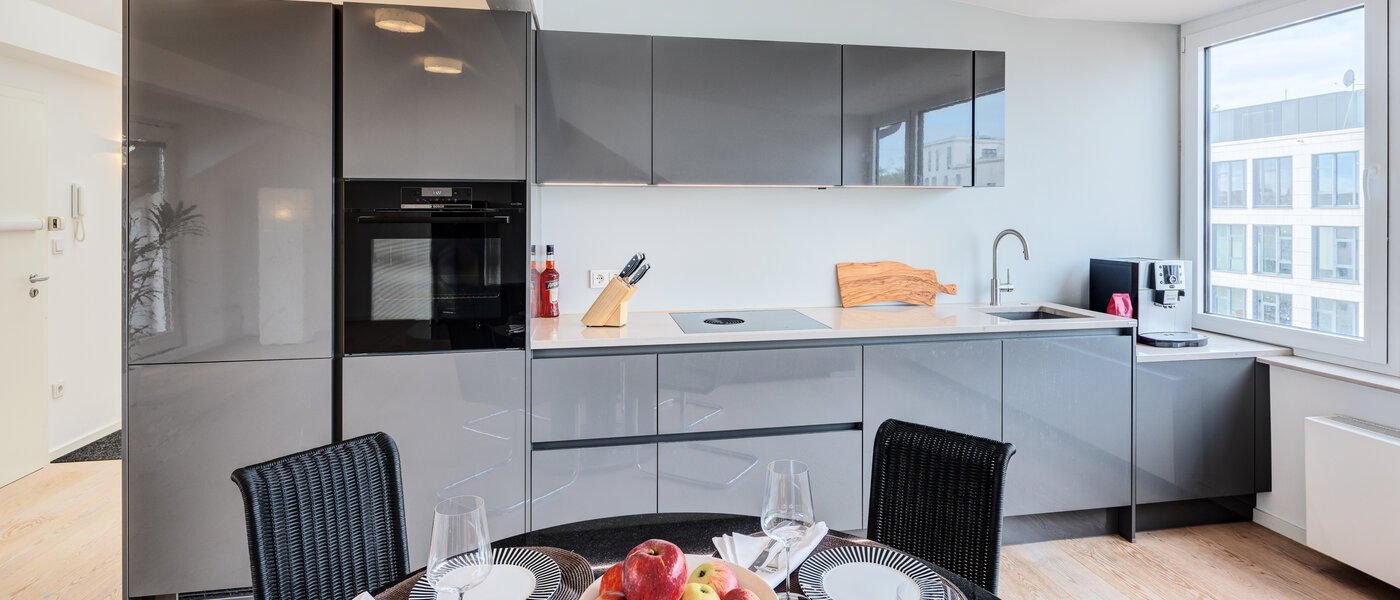 ático München Maxvorstadt 01 cocina 14568
