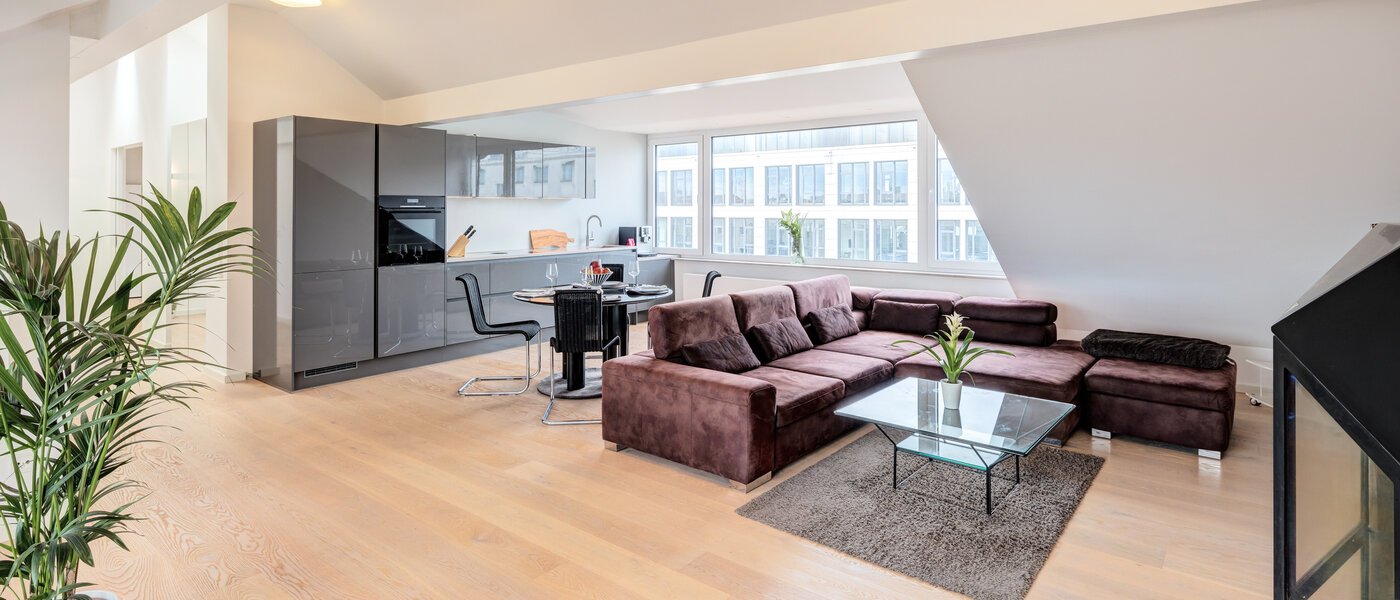 ático München Maxvorstadt 01 zona de día  14568