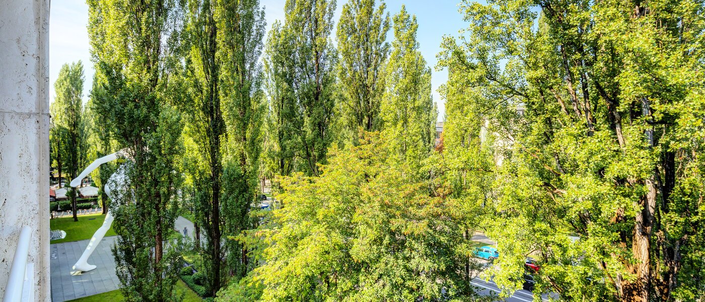 apartamento München Schwabing (rechts der Leopoldstraße) 02 vista 14569