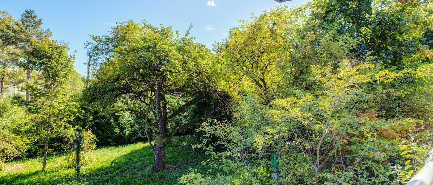 dúplex Gröbenzell 04 vista 14575