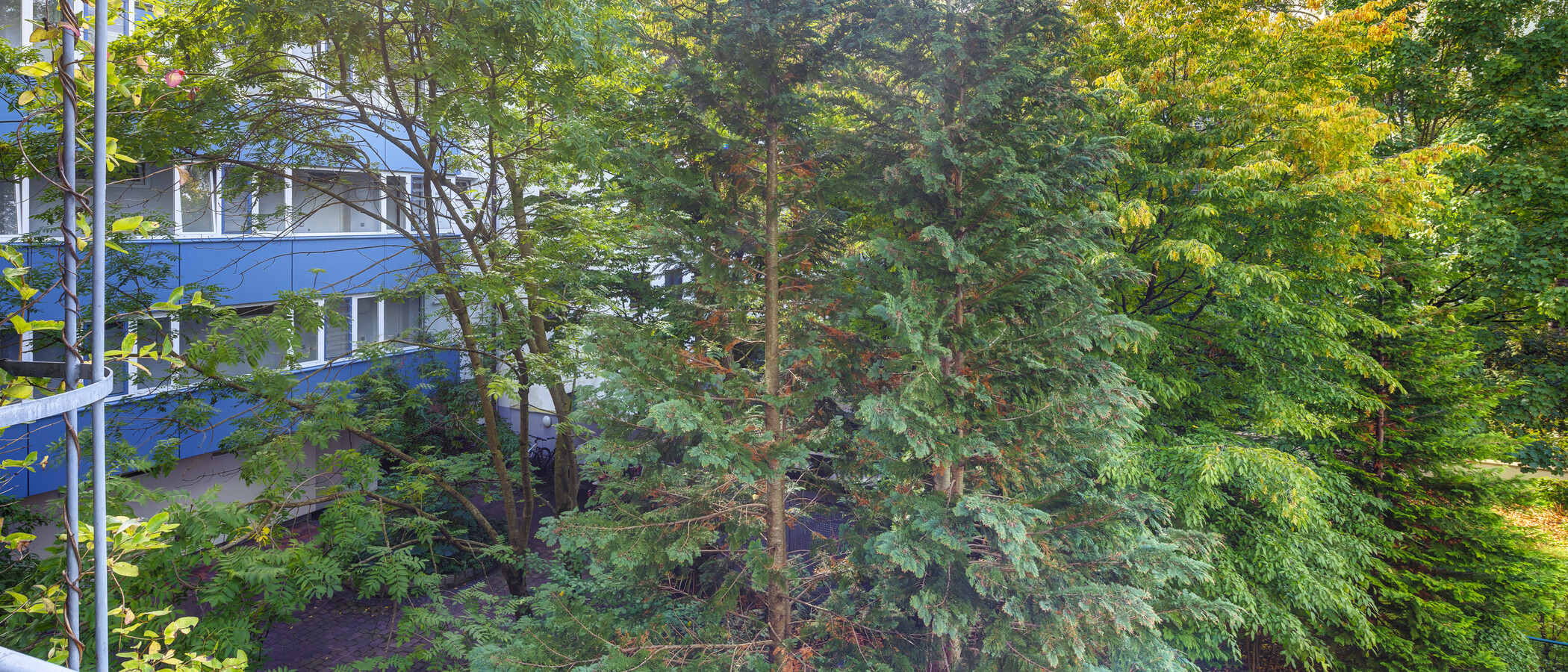 apartamento München Obergiesing 01 vista 14597