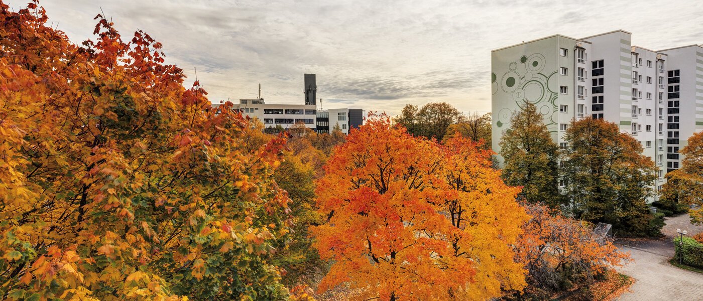 apartamento Taufkirchen 02 vista 14620