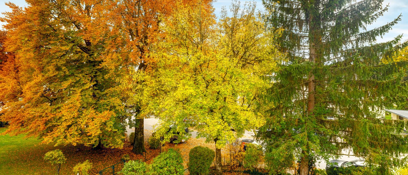 apartamento Grünwald 01 vista 14631