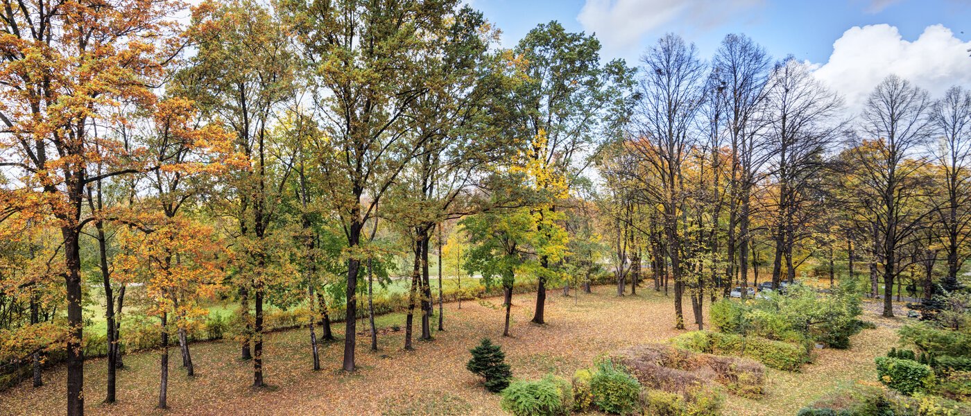 apartamento München Bogenhausen 01 vista 14639