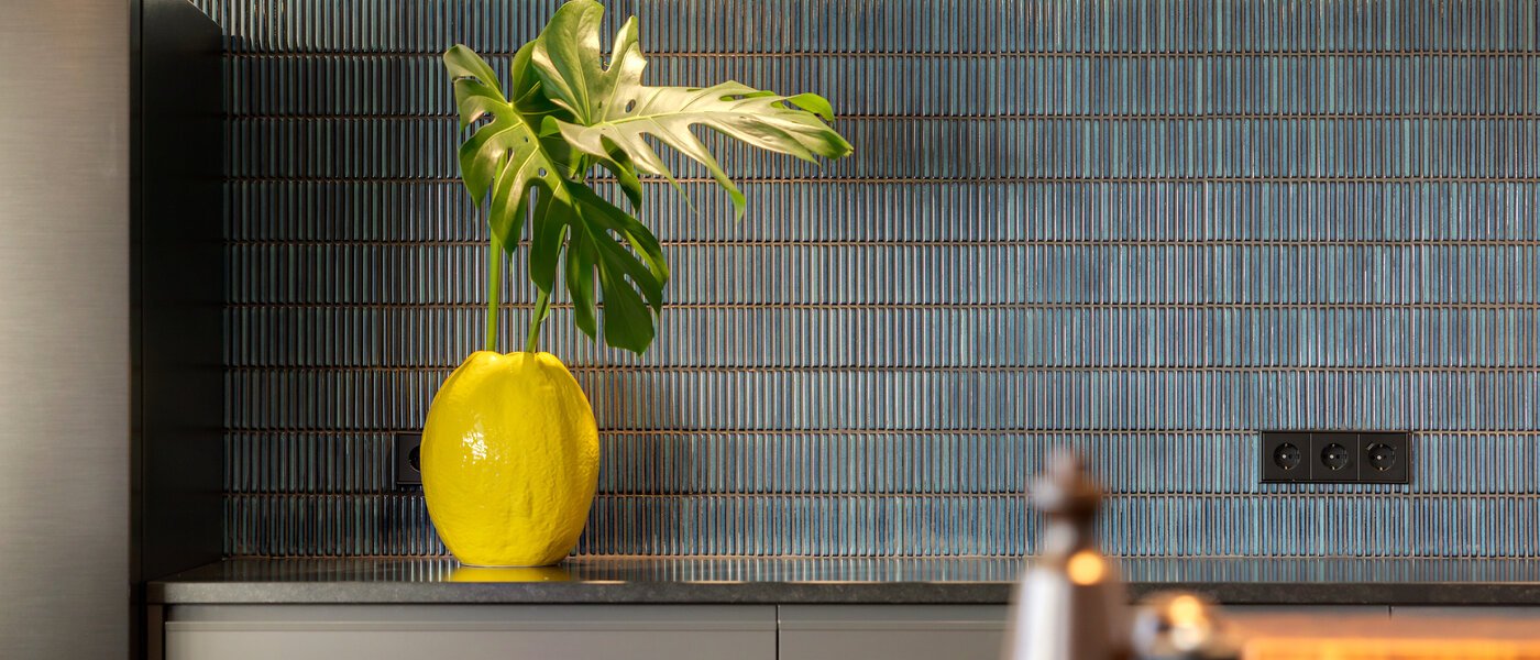 dúplex München Glockenbachviertel 04 cocina 14717