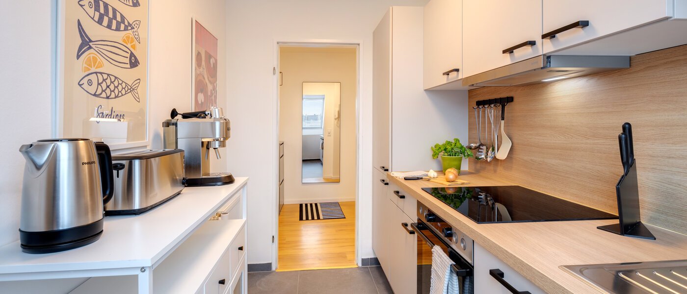 ático München Isarvorstadt 03 cocina 14762