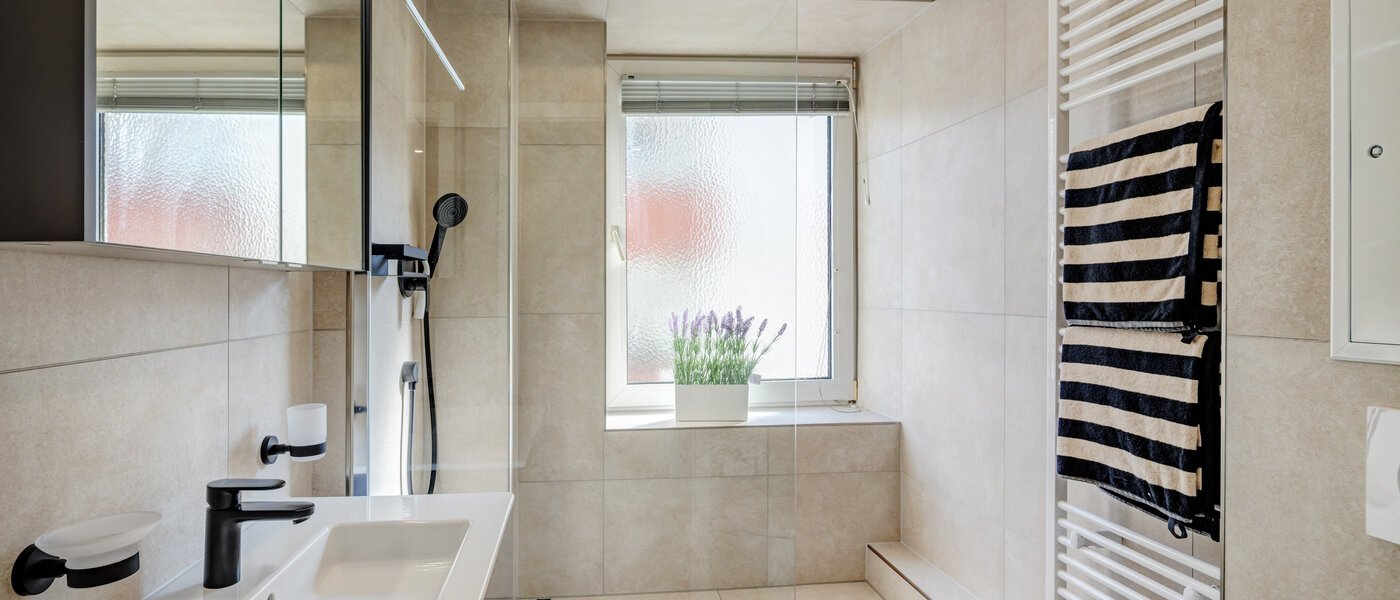 apartamento München Isarvorstadt 01 baño 14764