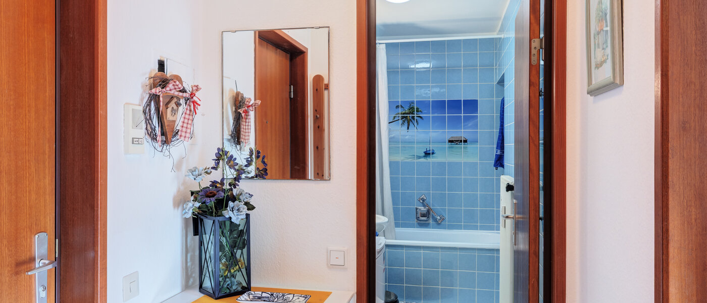 apartamento Schliersee 01 pasillo 14784