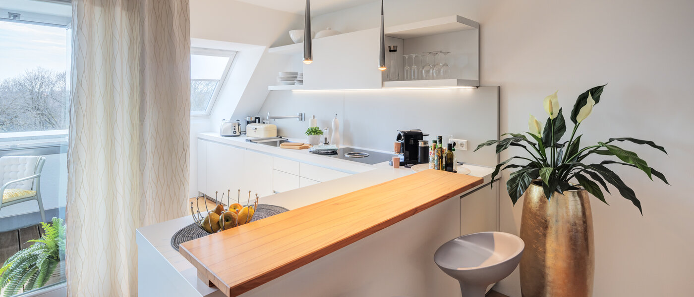 ático München Ludwigsvorstadt 01 cocina 14803