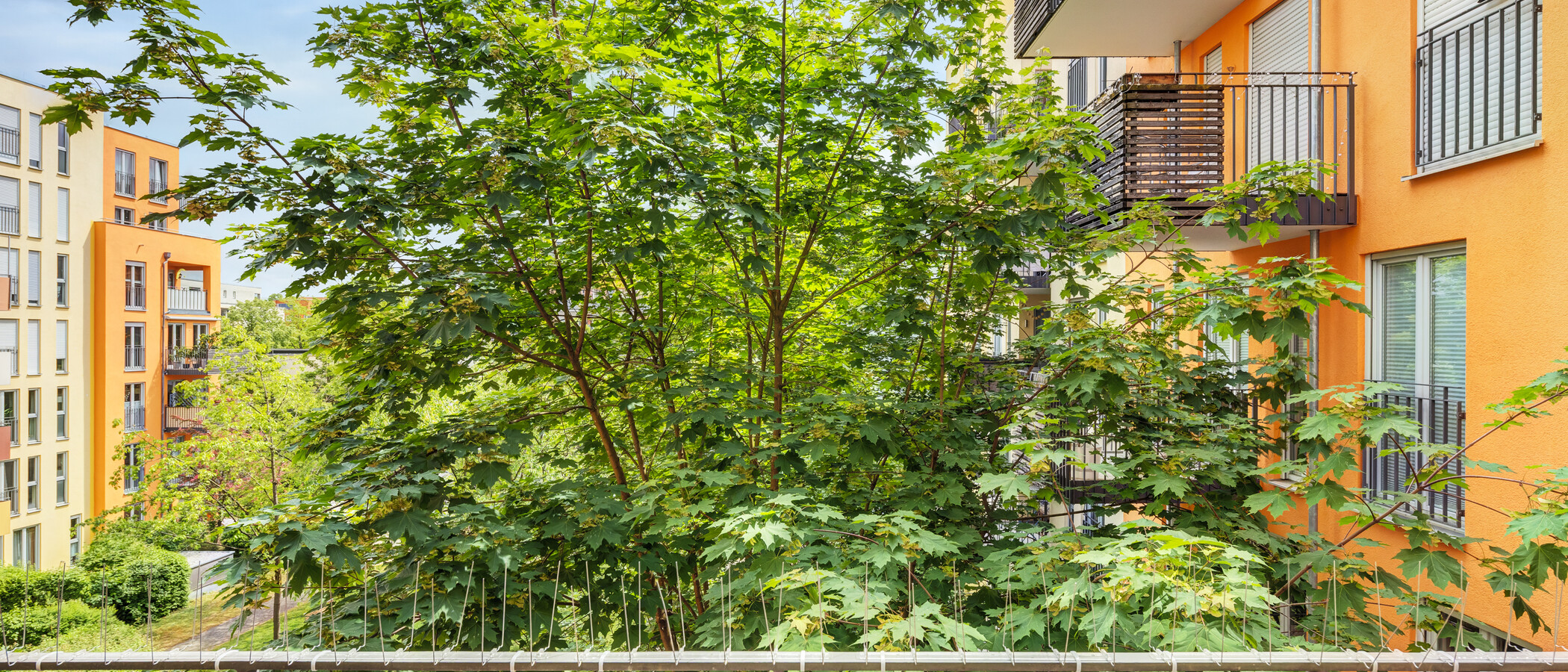 apartamento München Haidhausen 02 vista 14860